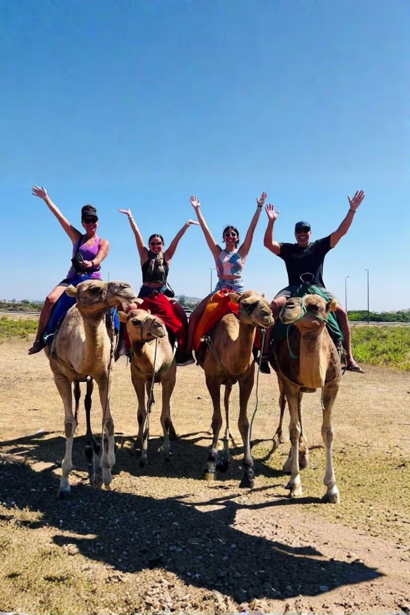 camel ride in morocco